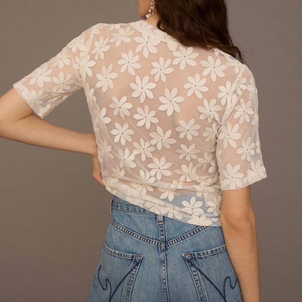 Daisy sheer cropped tee with embroidery size 2X (runs small) see measurements - Picture 10 of 11